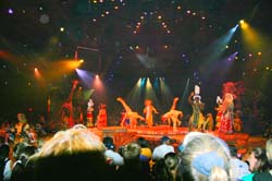 Festival of the Lion King 12